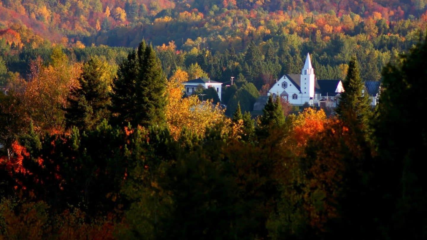 Your Cozy Cabin Retreat Saint-Remi-d'Amherst Екстериор снимка